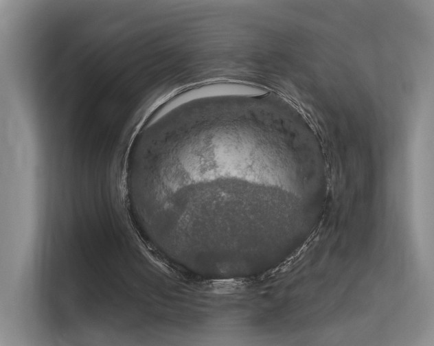 X0000112020050200908101410