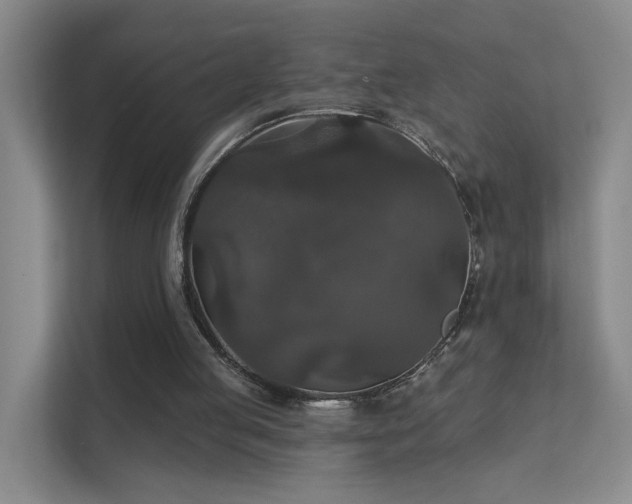 X0000112020053200908101410