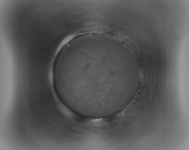 X0000112020054200908101410