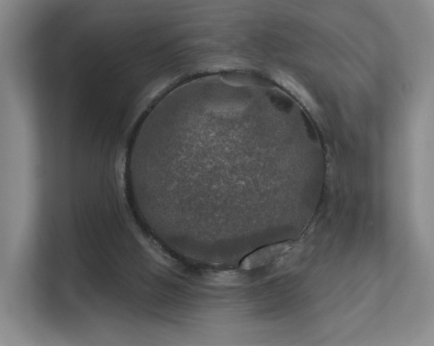 X0000112020058200908101411