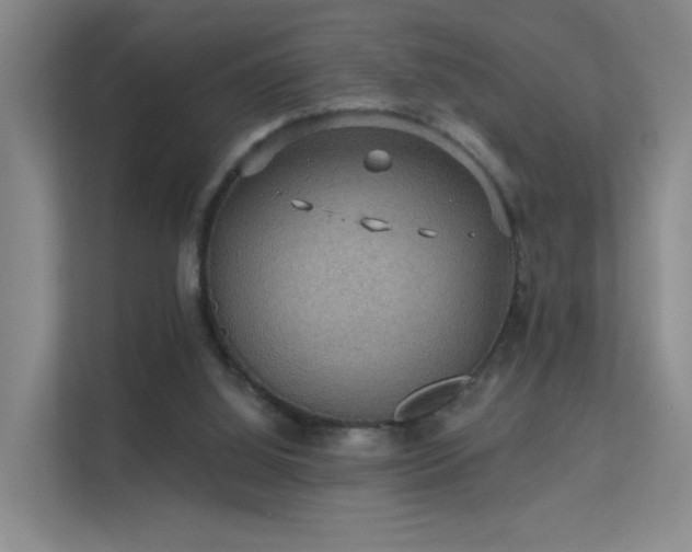 X0000112020060200908101411