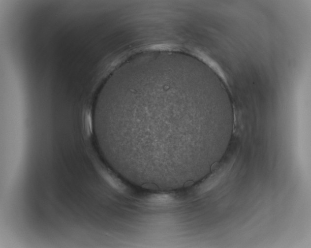 X0000112020061200908101411