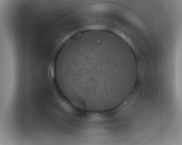 X0000112020062200908101411