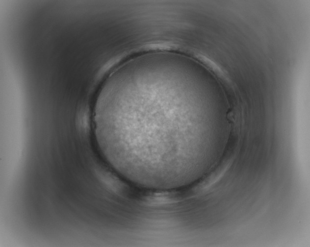 X0000112020064200908101411