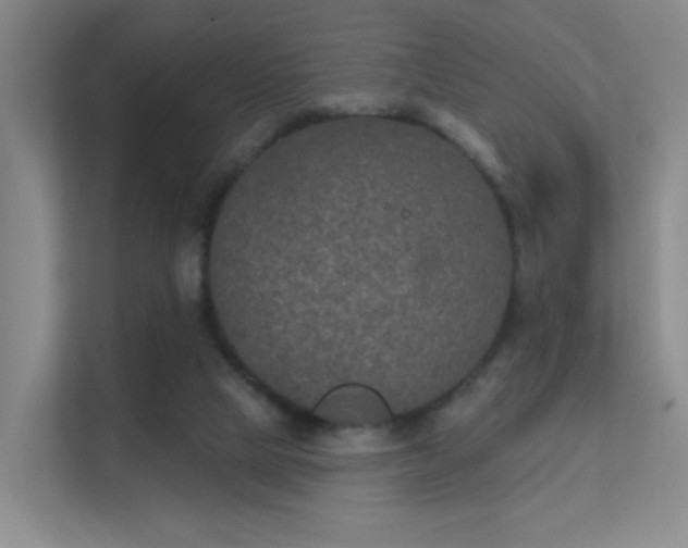 X0000112020065200908101411