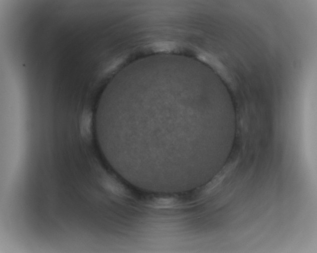 X0000112020066200908101411