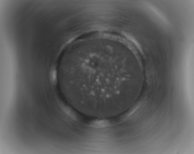 X0000112020067200908101411