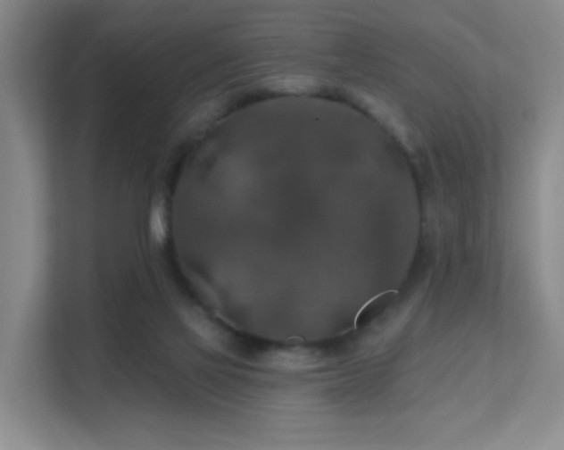 X0000112020069200908101411