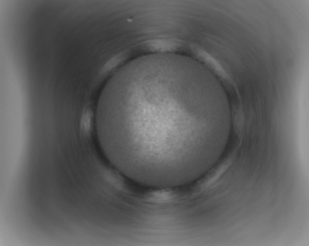 X0000112020071200908101411