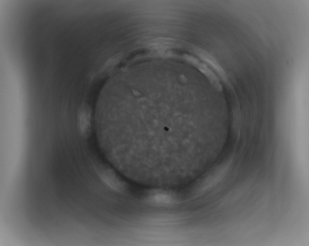 X0000112020073200908101411