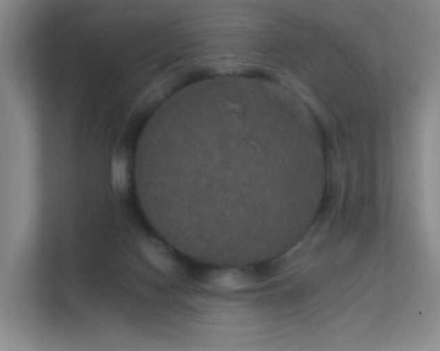 X0000112020074200908101411