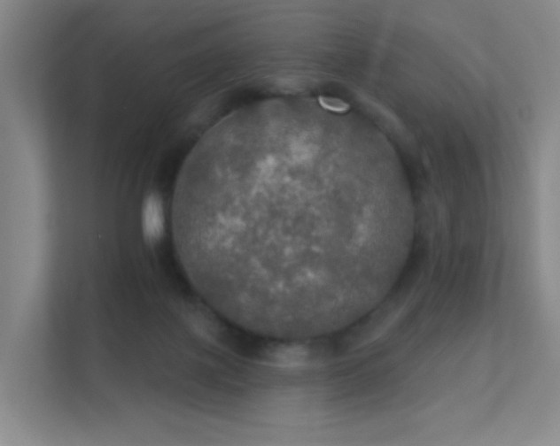 X0000112020075200908101411