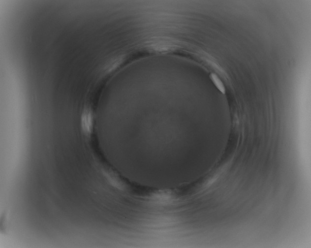 X0000112020076200908101411