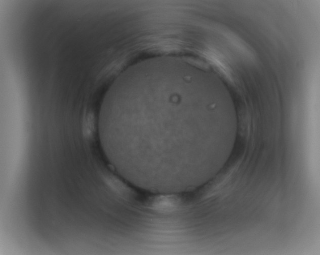 X0000112020077200908101411