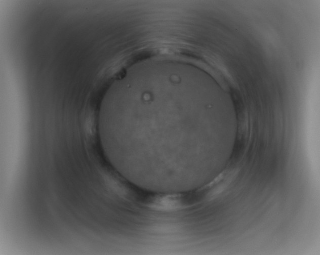 X0000112020078200908101411