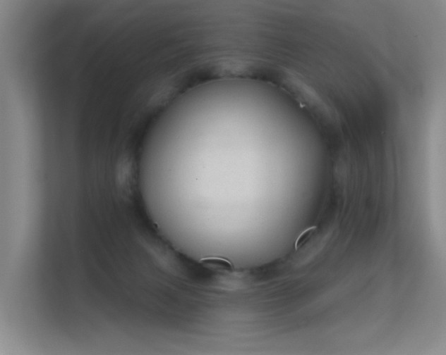 X0000112020079200908101411