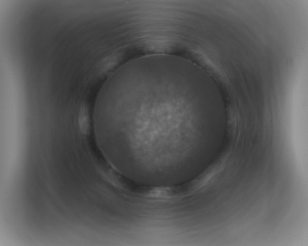 X0000112020080200908101411