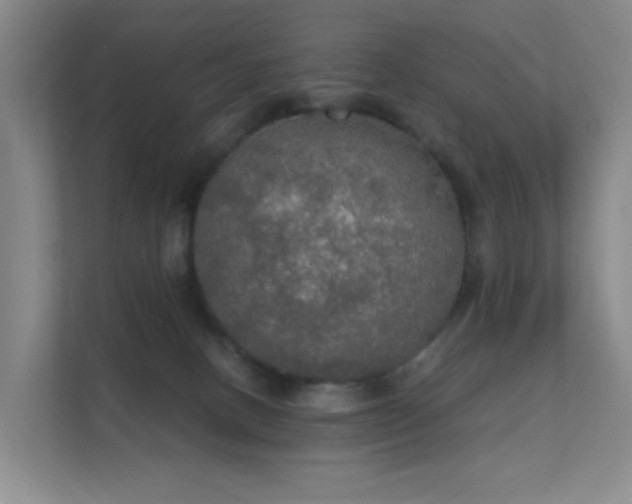 X0000112020082200908101411