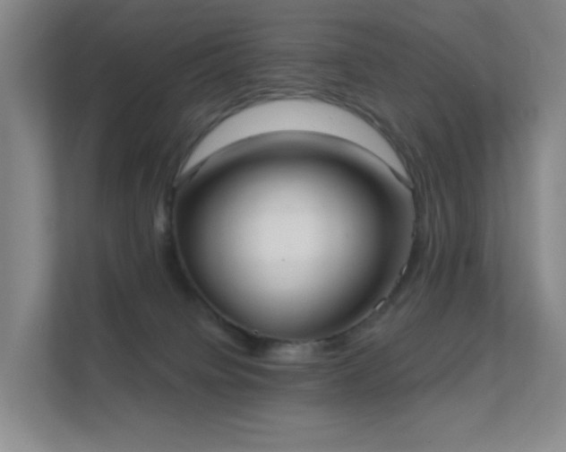 X0000112020084200908101411