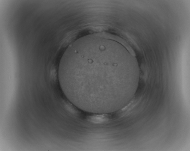 X0000112020086200908101411