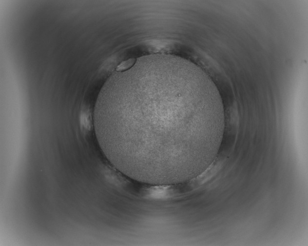 X0000112020090200908101411