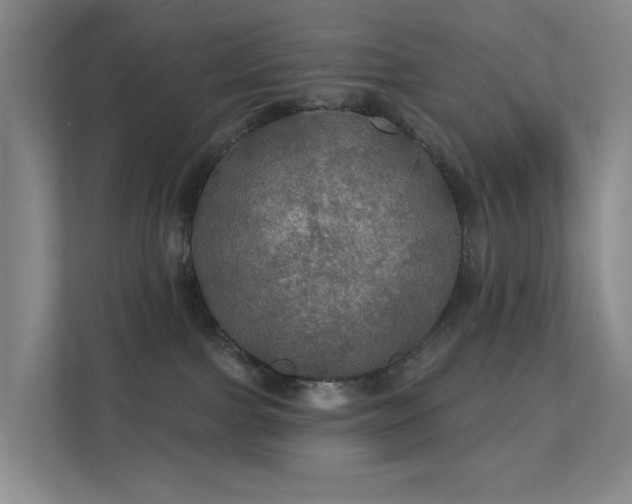 X0000112020091200908101411