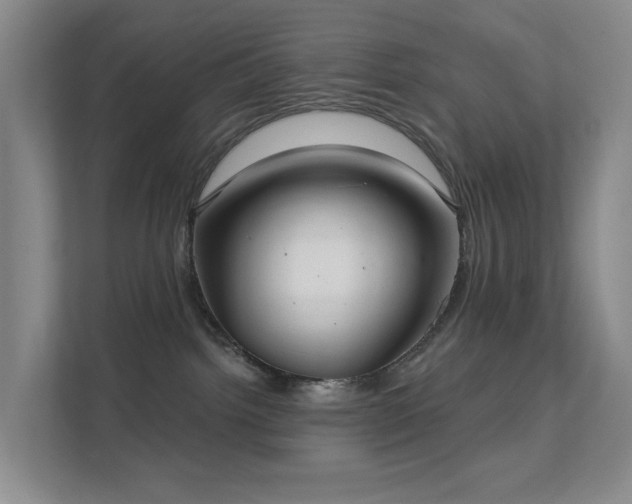 X0000112020092200908101411