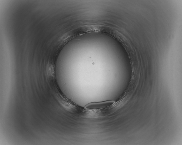 X0000112020096200908101411