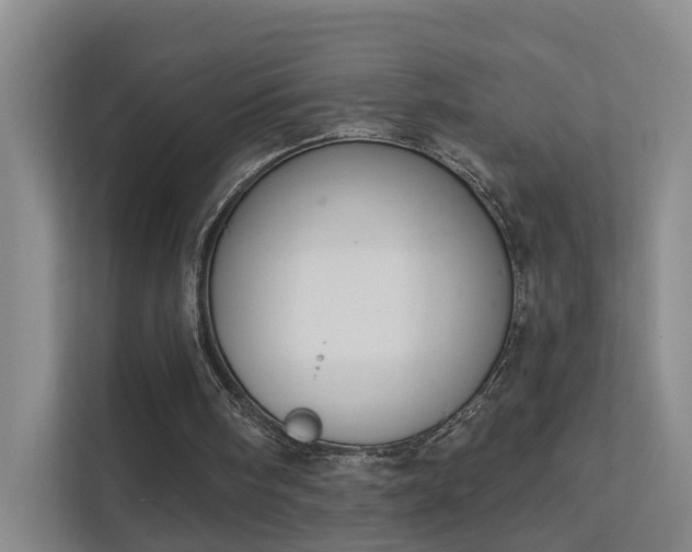 X0000112020098200908101410