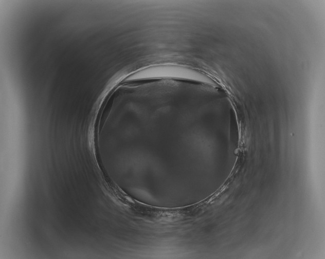 X0000112020099200908101410