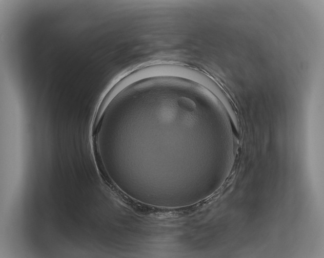 X0000112020100200908101410