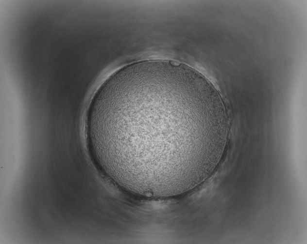 X0000112020103200908101410