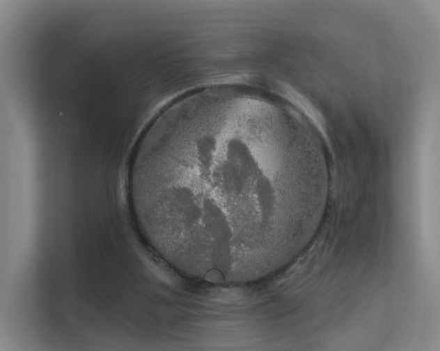 X0000112020107200908101410