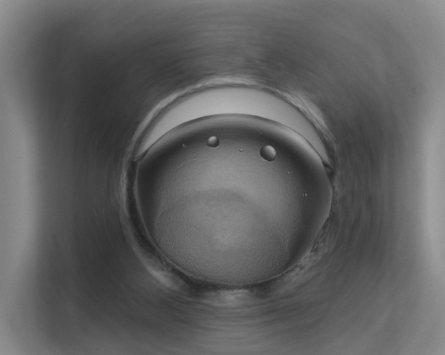 X0000112020108200908101410