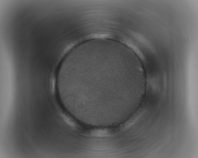 X0000112020110200908101410