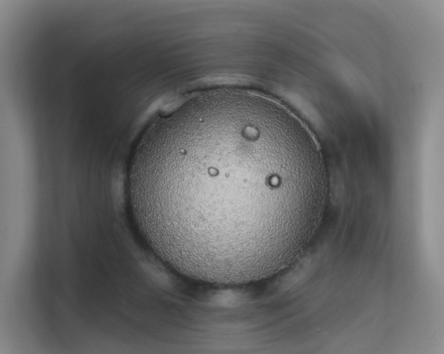 X0000112020111200908101410