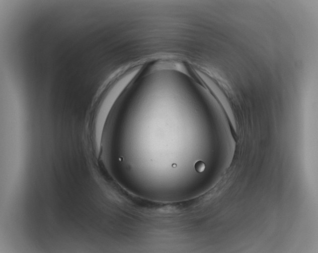 X0000112020112200908101410