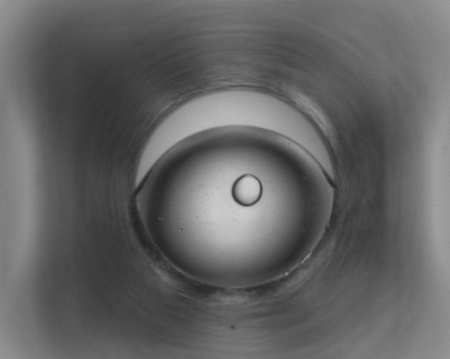 X0000112020113200908101410