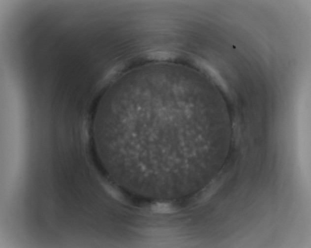 X0000112020114200908101410