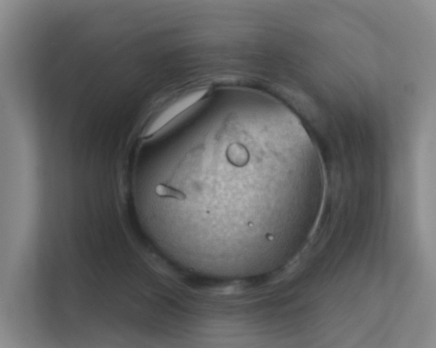 X0000112020116200908101410