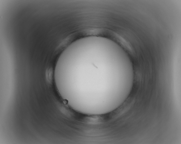 X0000112020118200908101410