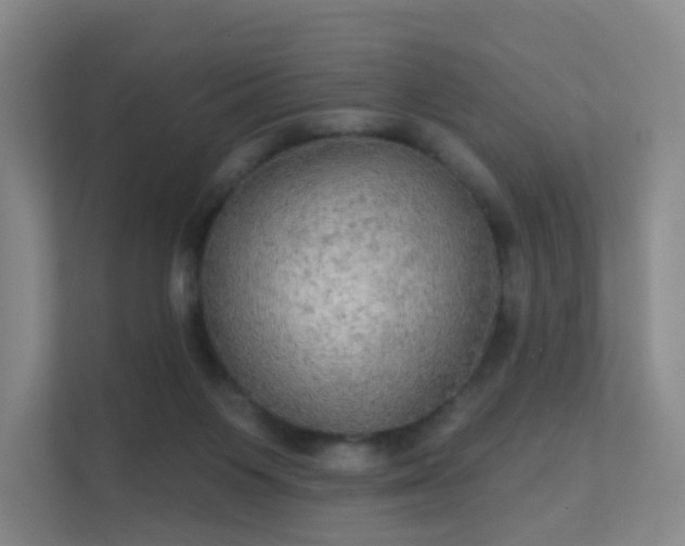 X0000112020119200908101410