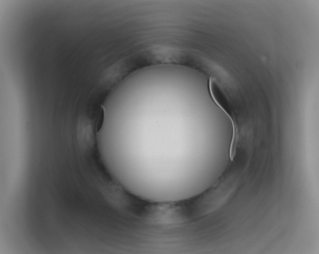 X0000112020121200908101410