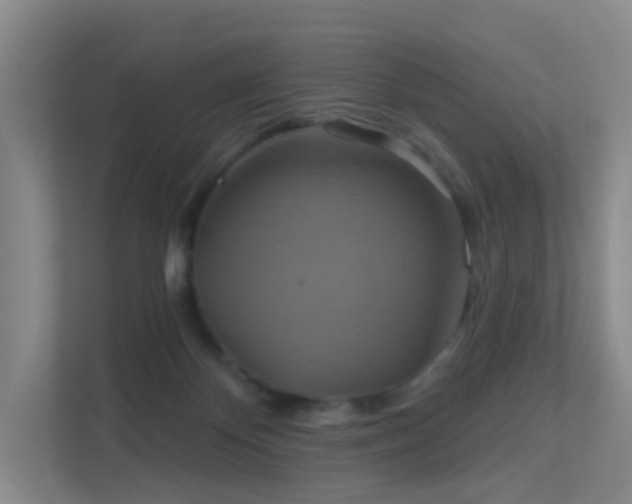 X0000112020124200908101410