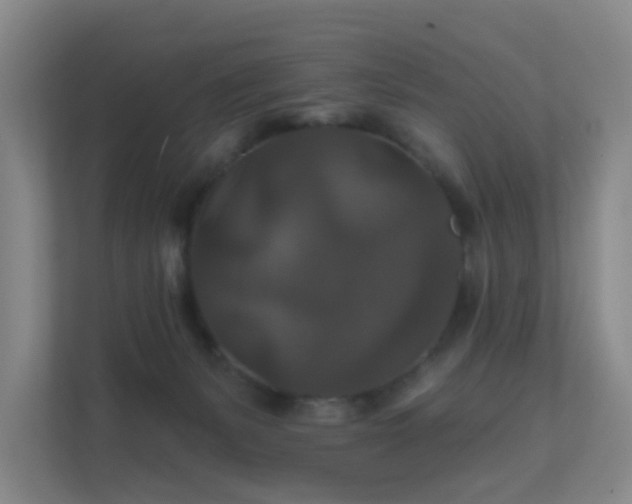 X0000112020127200908101410