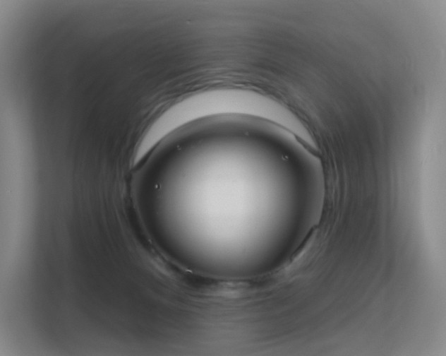 X0000112020128200908101410