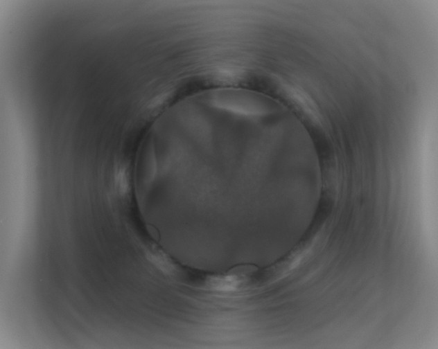 X0000112020131200908101410