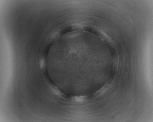 X0000112020134200908101410