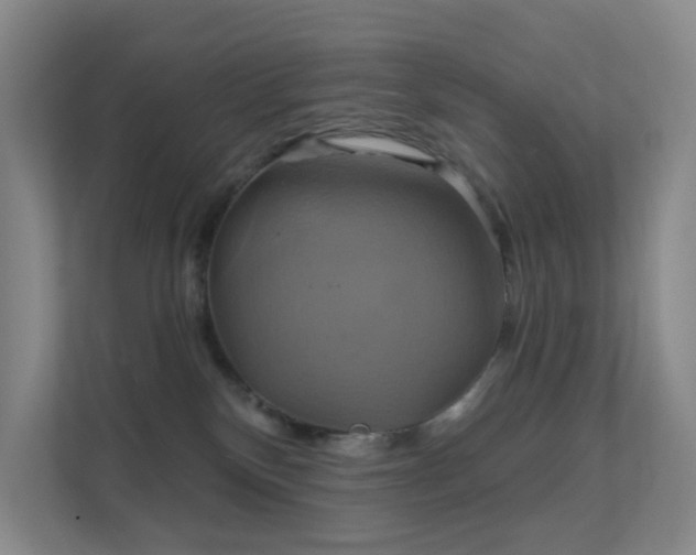 X0000112020136200908101410