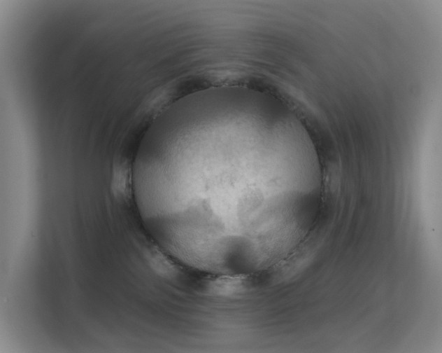 X0000112020138200908101410